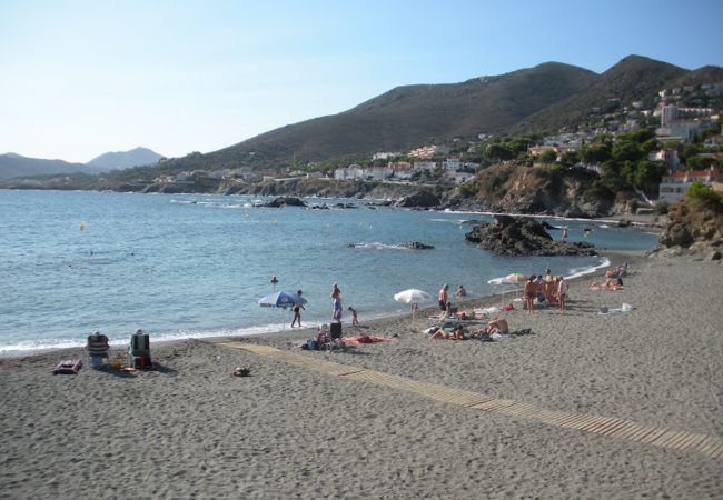 Apartamento en Llança - 141 Mar i Muntanya
