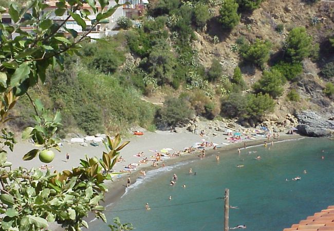 Apartamento en Llança - 138 Cau del Llop