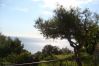 Apartamento en Llança - 138 Cau del Llop