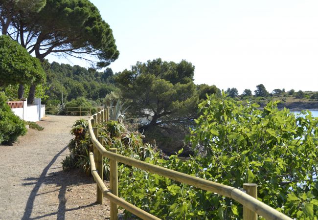 Apartament en Llança - 003 Frederico