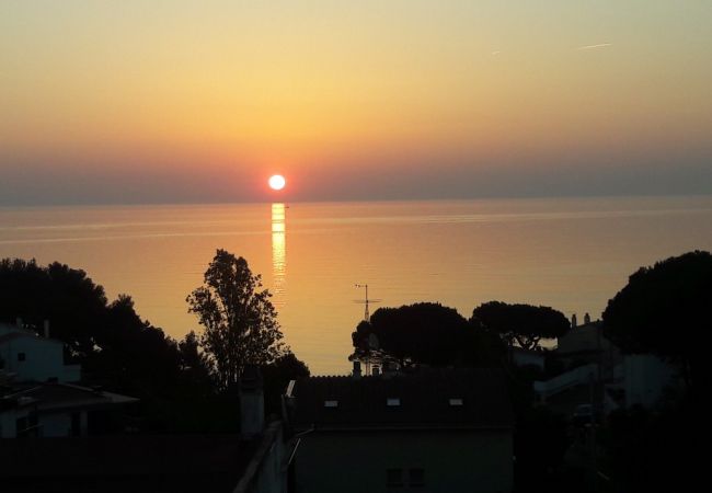 Apartament en Llança - 003 Frederico