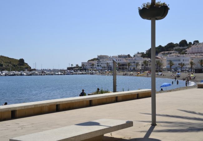 Apartment in Llança - 00106 Platja Cau del Llop