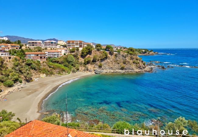 Apartment in Llança - 00106 Platja Cau del Llop