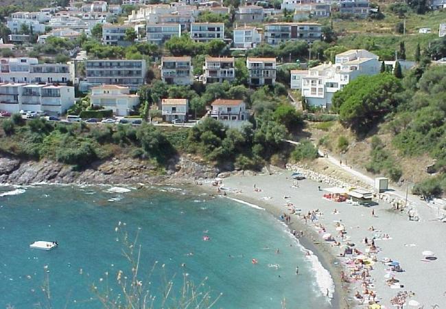 Apartment in Llança - 00104 Platja Cau del Llop