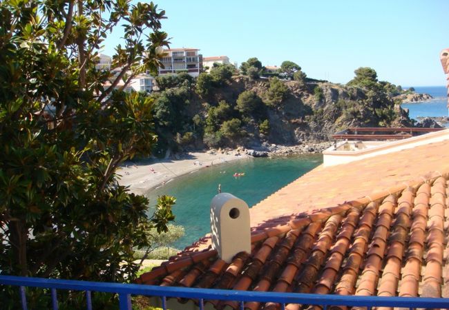 Apartment in Llança - 00105 Platja Cau del Llop