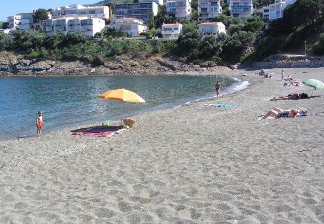 Apartment in Llança - 00108 Platja Cau del Llop