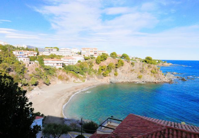 Apartment in Llança - 00110 Platja Cau del Llop