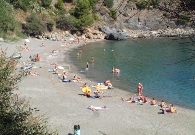 Apartament en Llança - 00105 Platja Cau del Llop